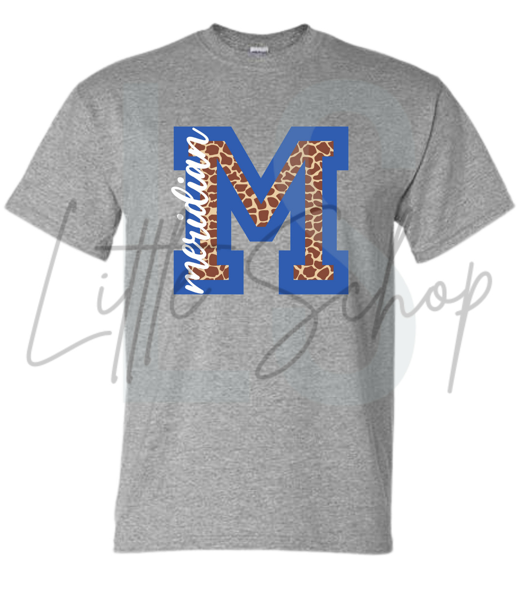 Meridian Elementary- 2