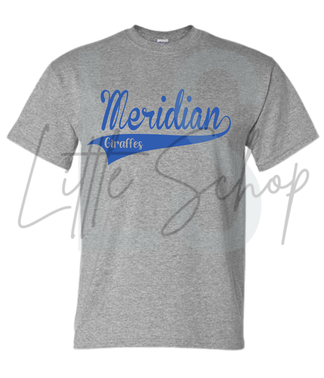 Meridian Elementary- 3